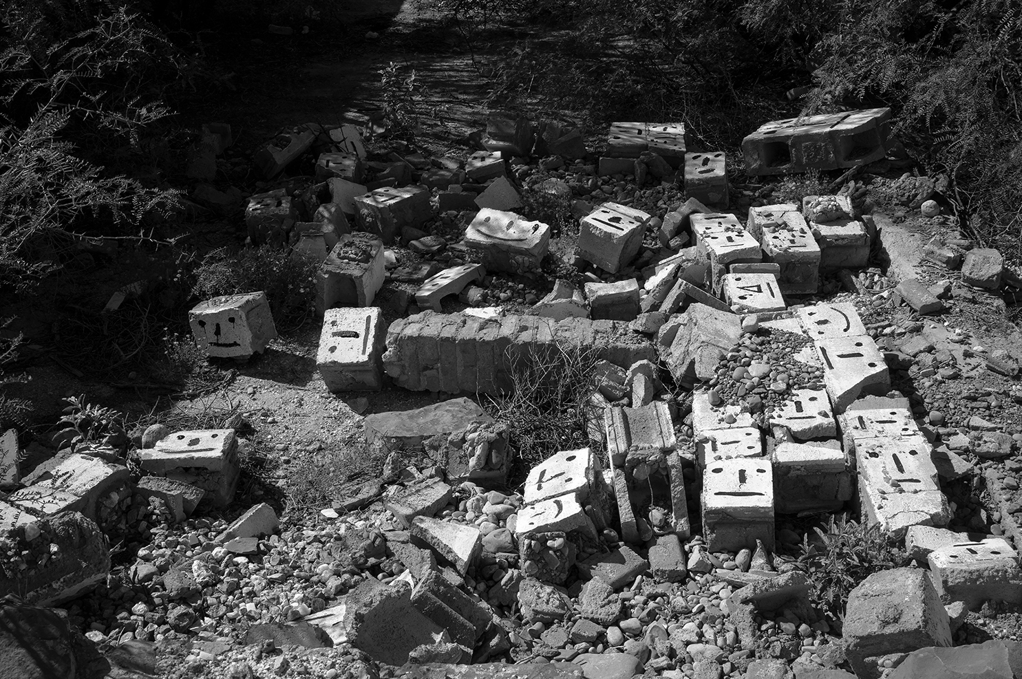 MARTE: Federico Jordan, Aurora Berrueto Kory