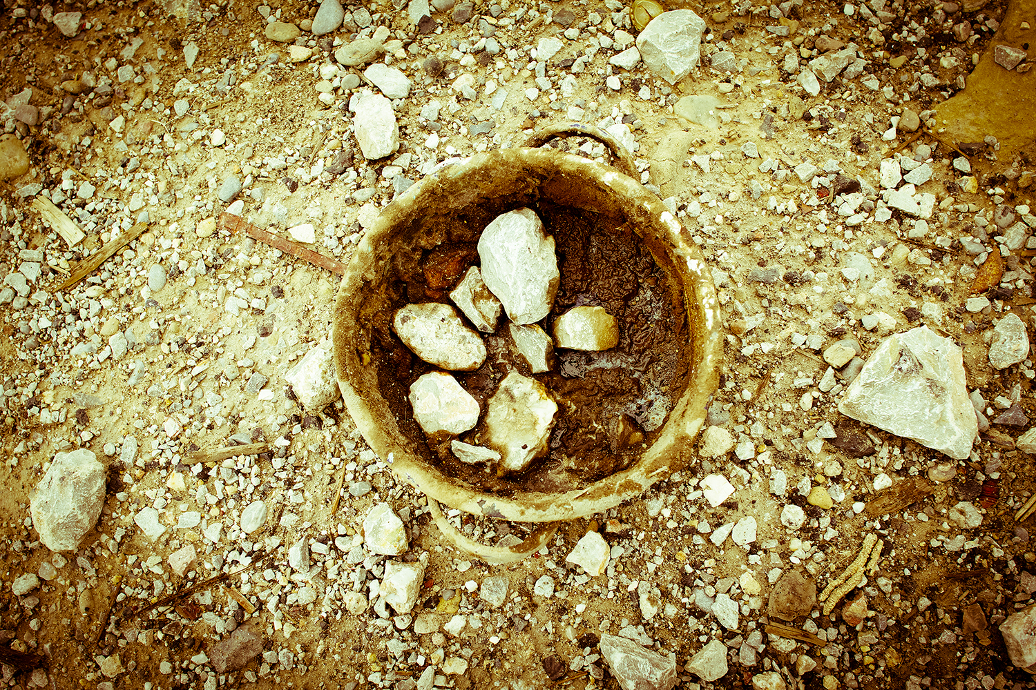 MARTE: Federico Jordan, Aurora Berrueto Kory